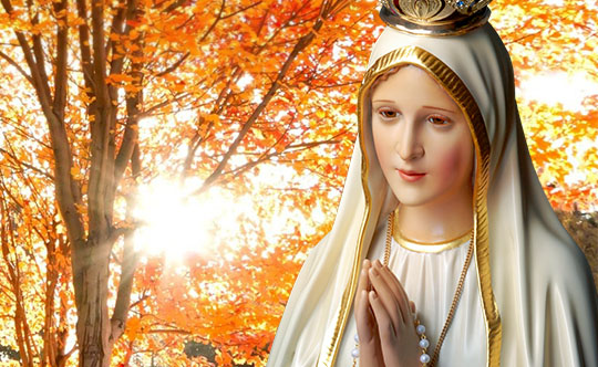 O Santíssimo Sacramento e a misericórdia de Nossa Senhora 