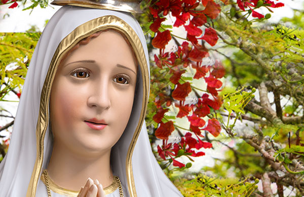 Devoção da aurora do Reino de Maria - João Sérgio Guimarães
